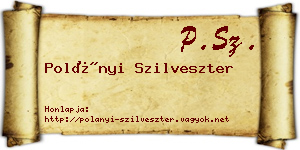 Polányi Szilveszter névjegykártya